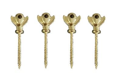 Gold Metal Screw In Coffin American Style , Coffins And Caskets Accessories